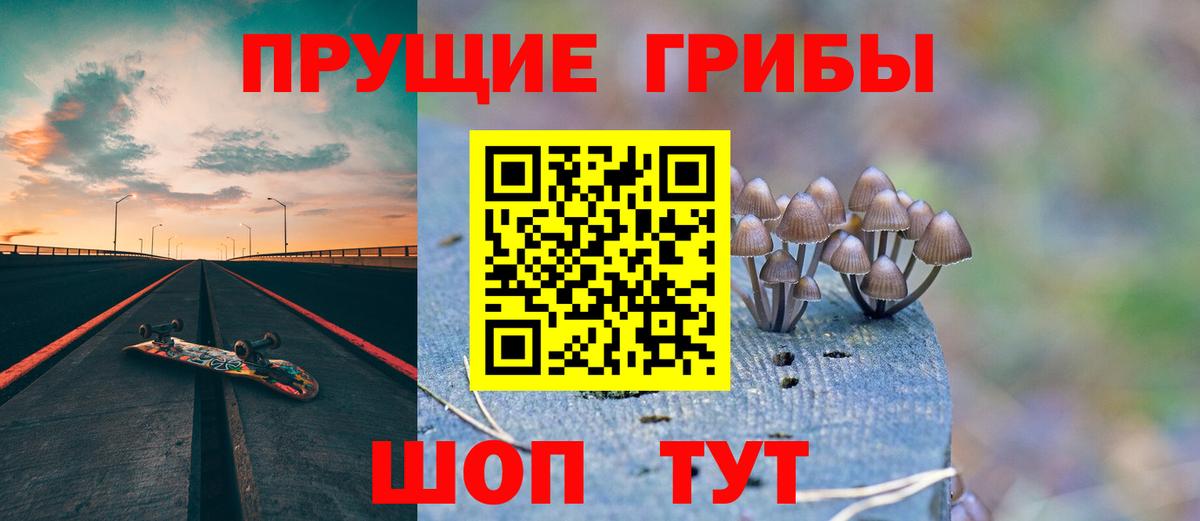 Псилоцибиновые грибы MAGIC MUSHROOMS Черняховск